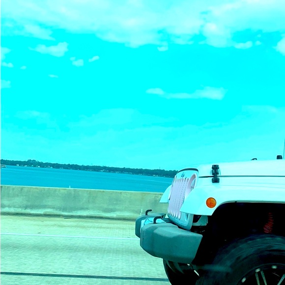 Totally 💯 open to offers 🌼🪴 - Picture 1 of 1